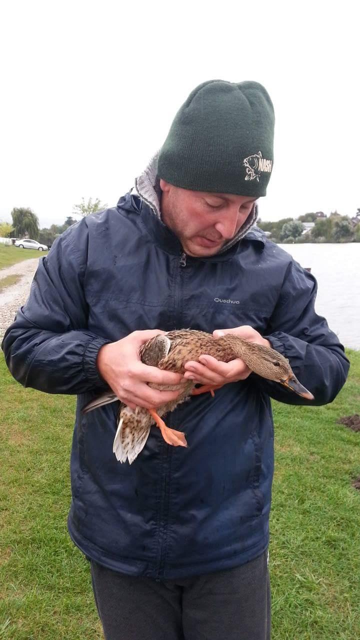 Moara Vlasiei - received1283641018397122.jpeg